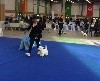  - Paris dog show 