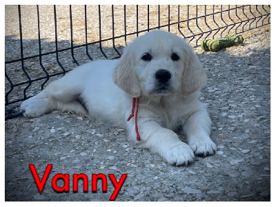 VANNY de la Douce Source (collier rouge)