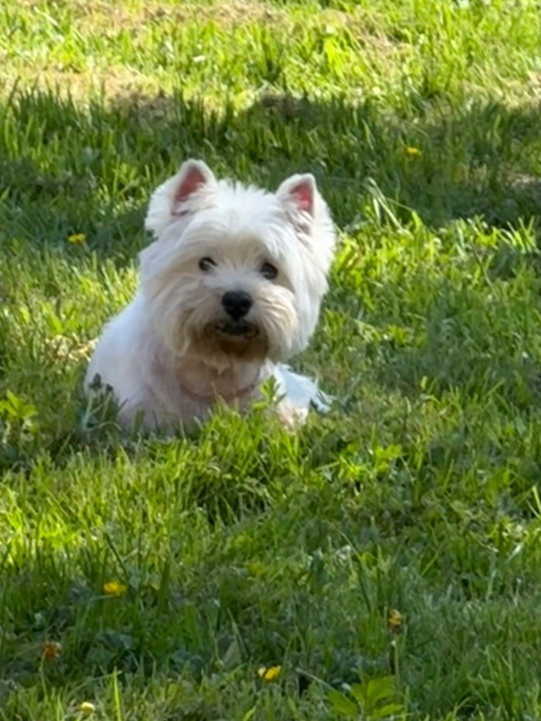 Sunny De La Douce Source