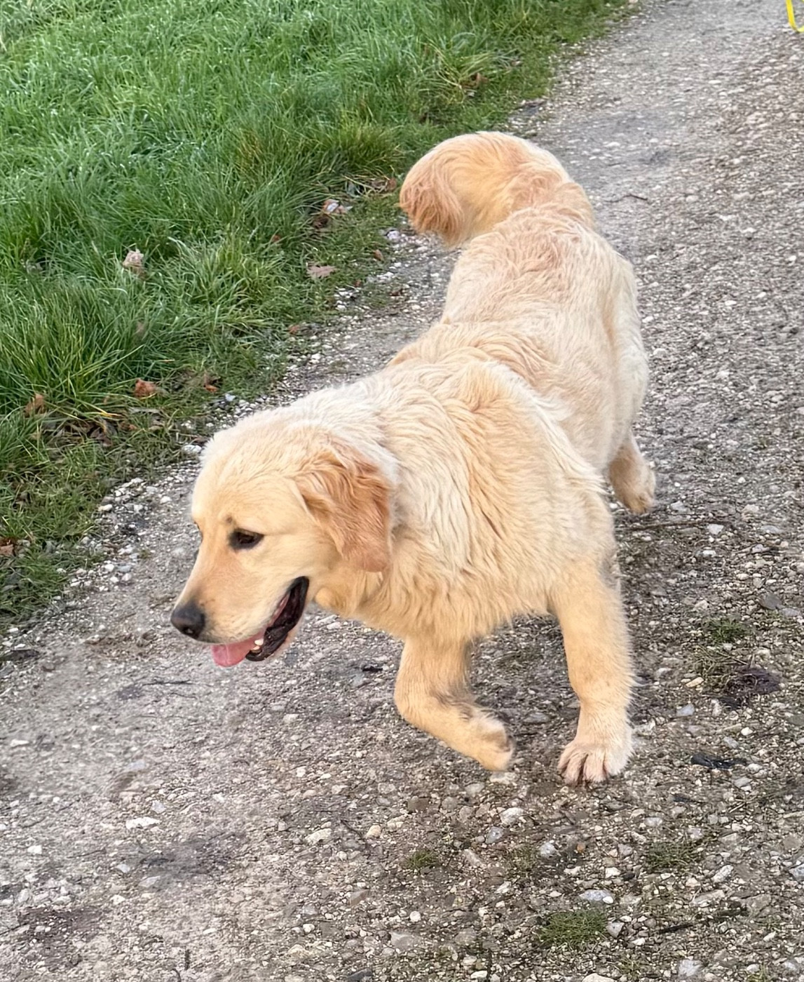 Artist De La Douce Source