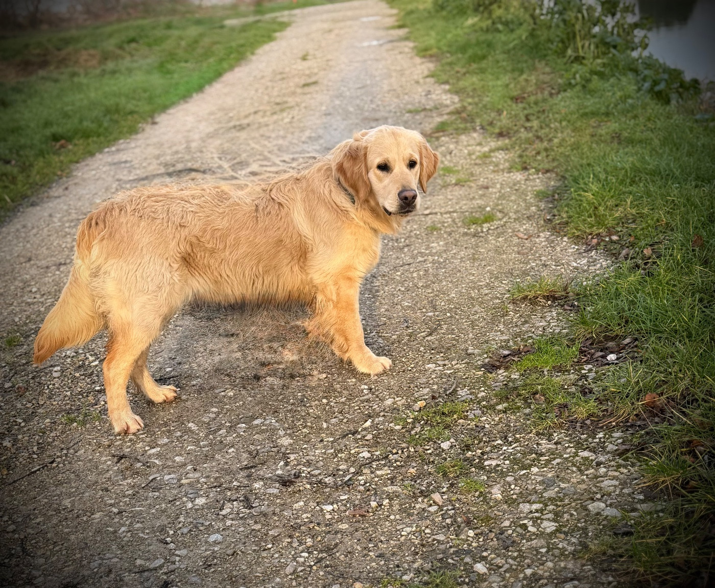 Altesse De La Douce Source