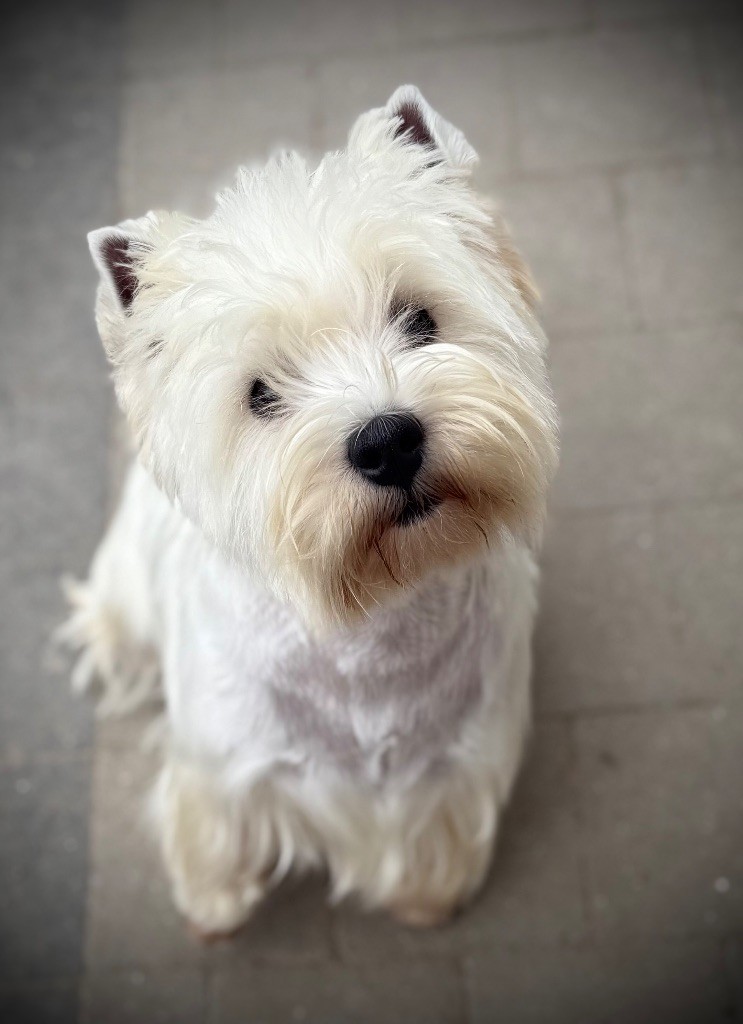 Vita De La Douce Source