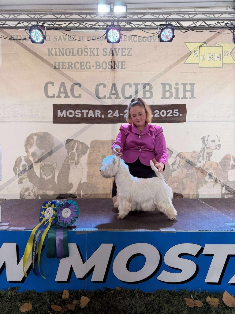 Ulko devient Champion 