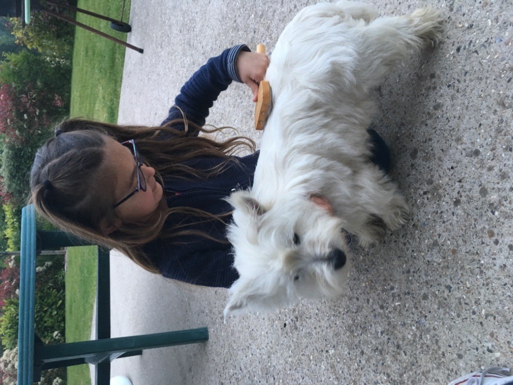 5ème album « nos chiots heureux dans leurs nouvelles familles »