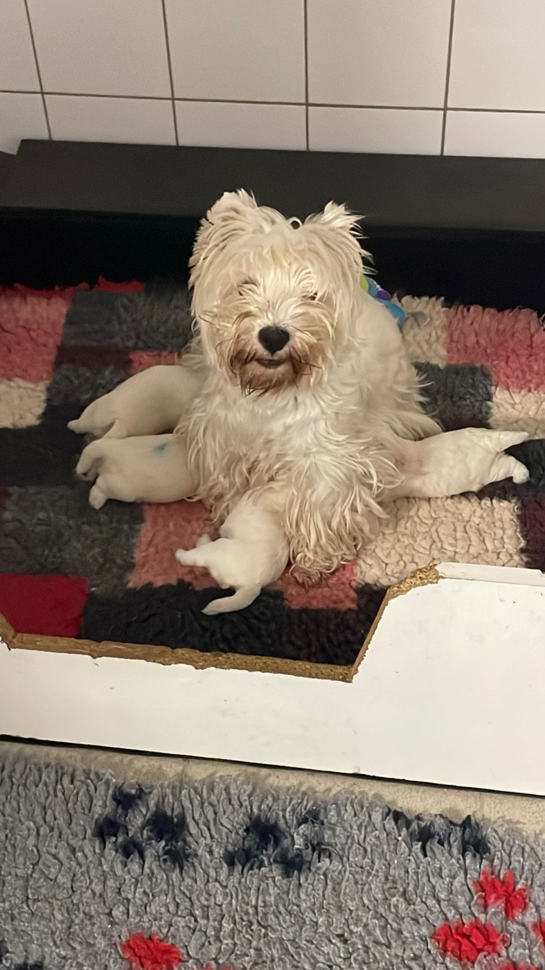 3 semaines pour les bébés de Telly et Ulko