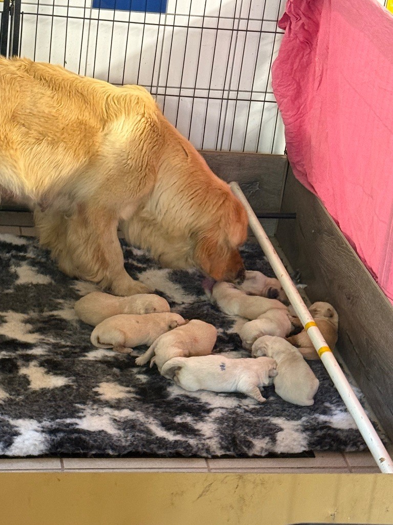 2 semaines pour les bébés de Suzie