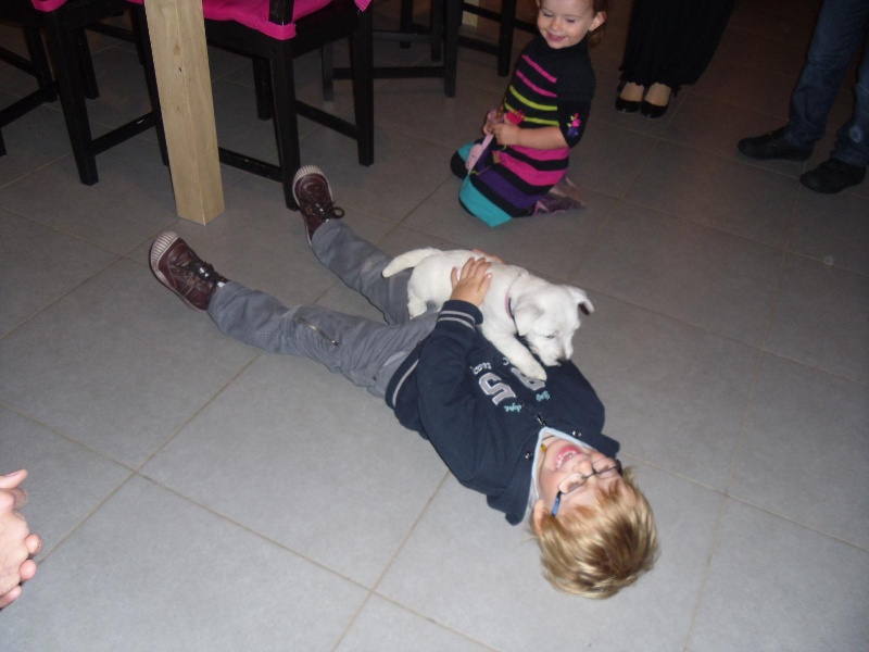 1er Album NOS CHIOTS HEUREUX DANS LEURS FAMILLE..