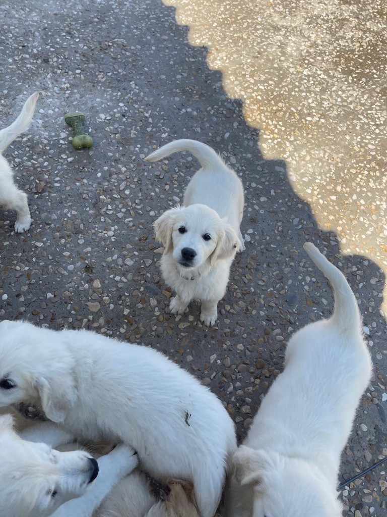 Dernier album des bébés tous ensemble 
