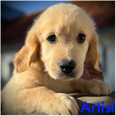 Artist (collier bleu foncé motif pattes)